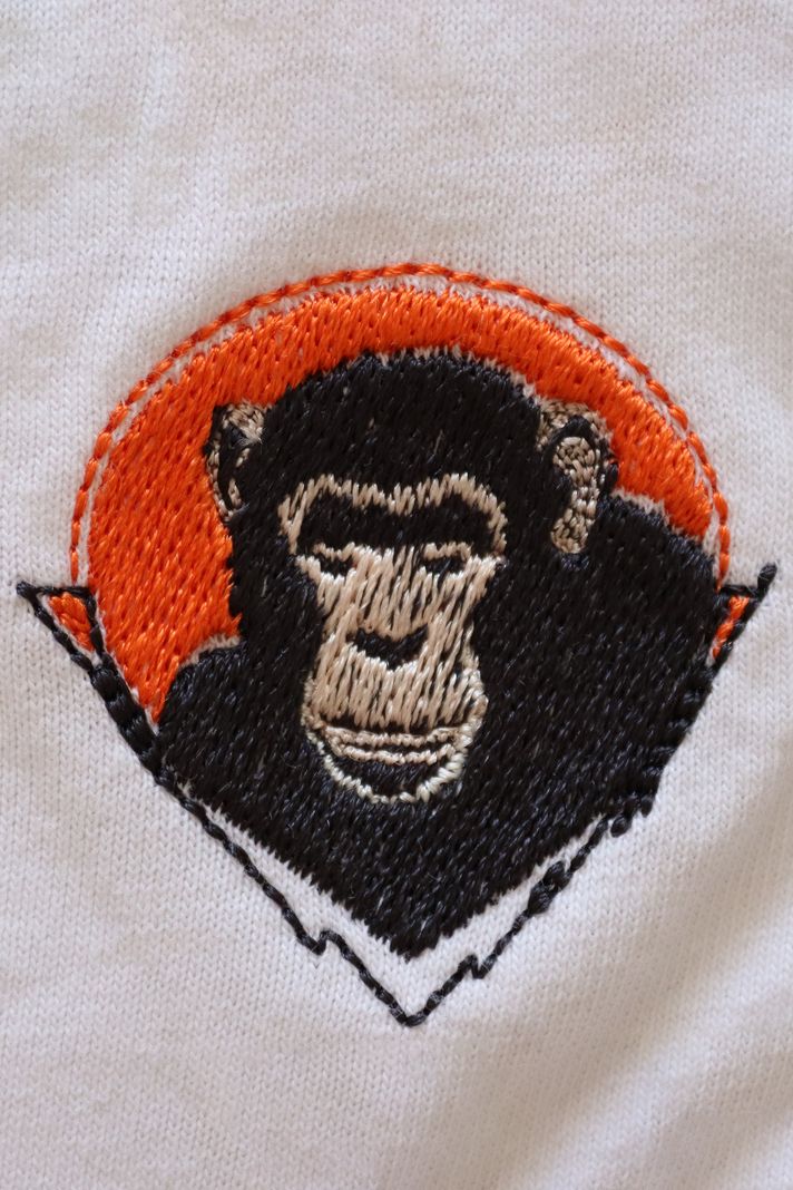 Şempanze Nakışlı T-Shirt