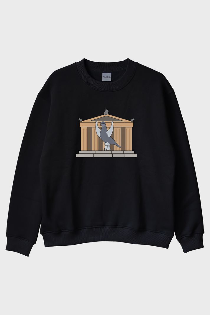 Güçlü Güvercin Siyah Bisiklet Yaka Sweatshirt ön görsel