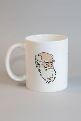 Doğal Seçilim Moruk Kupa