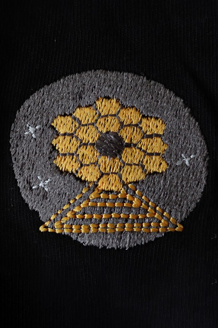 James Webb Teleskobu Nakış Desenli Hoodie