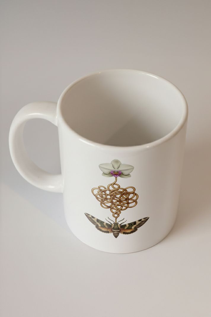 Darwin'in Kaosu Kupa