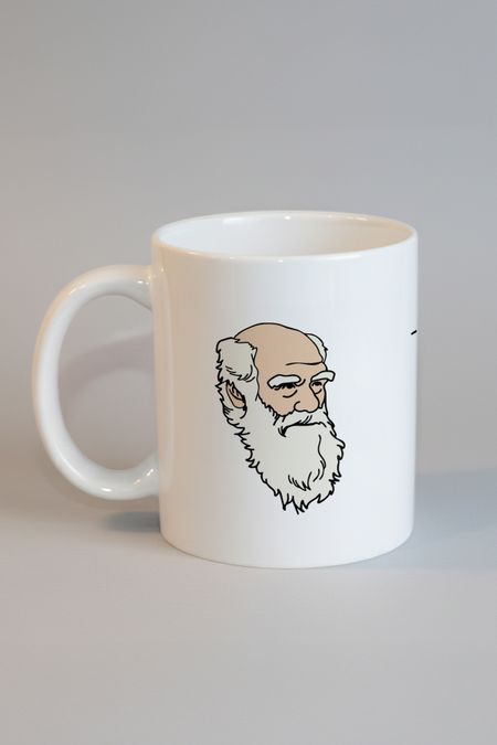 Doğal Seçilim Moruk Kupa