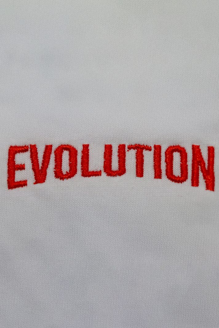 Kırmızı Evolution Nakışlı Tişört