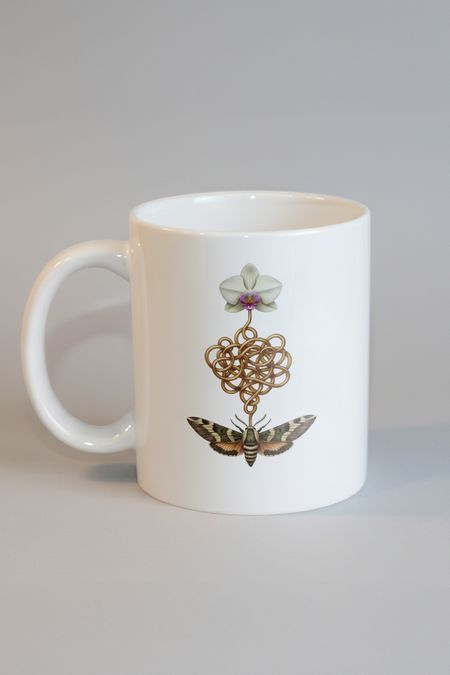 Darwin'in Kaosu Kupa